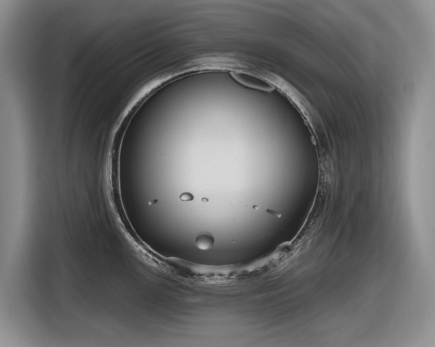 X0000116611147200912181201