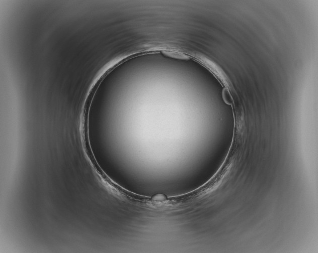 X0000116611149200912181201