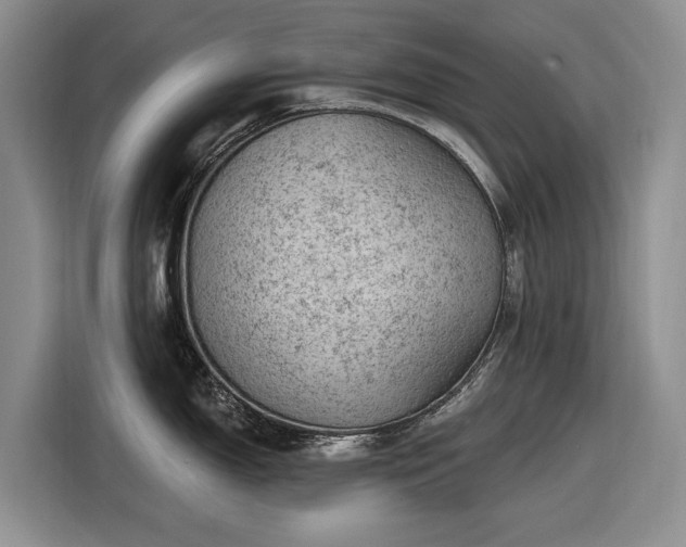 X0000116611150200912181201