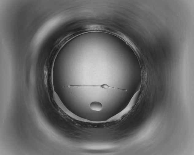 X0000116611151200912181201