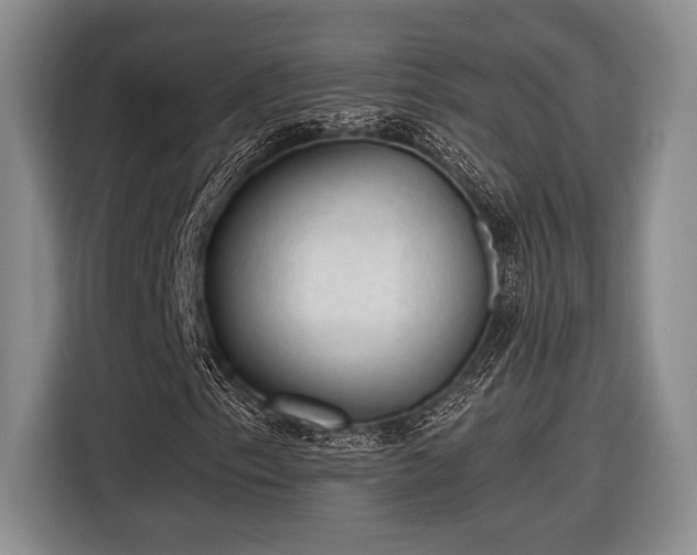 X0000116611153200912181200