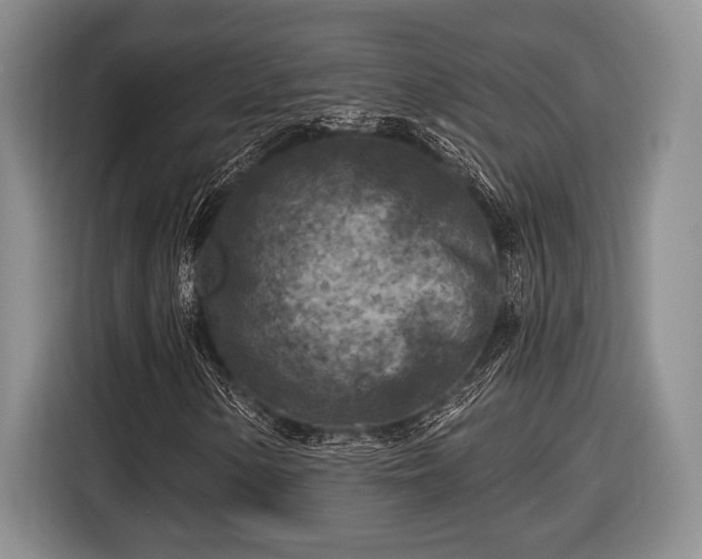 X0000116611154200912181200