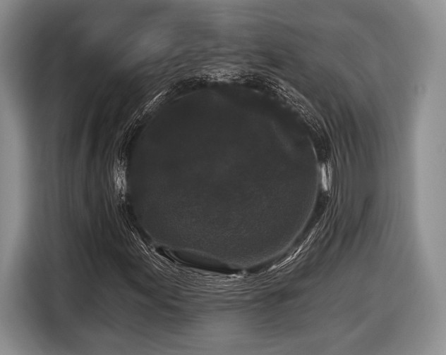 X0000116611155200912181200