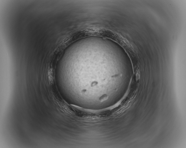 X0000116611156200912181200