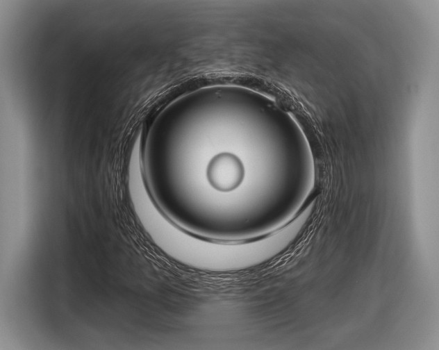 X0000116611157200912181200