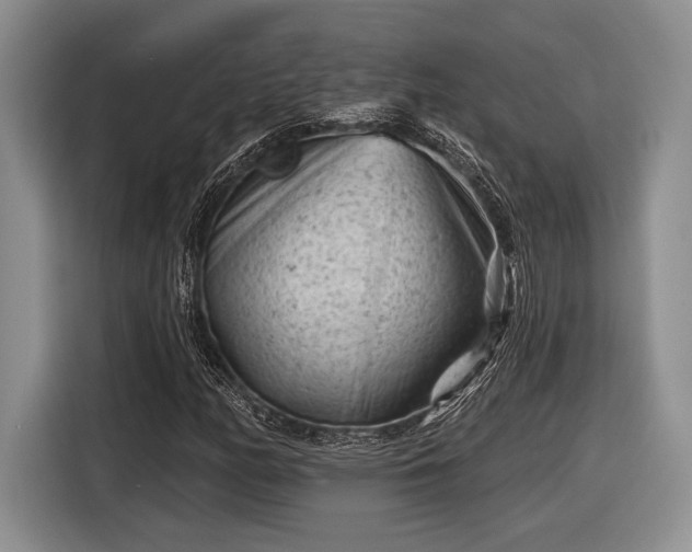 X0000116611158200912181200