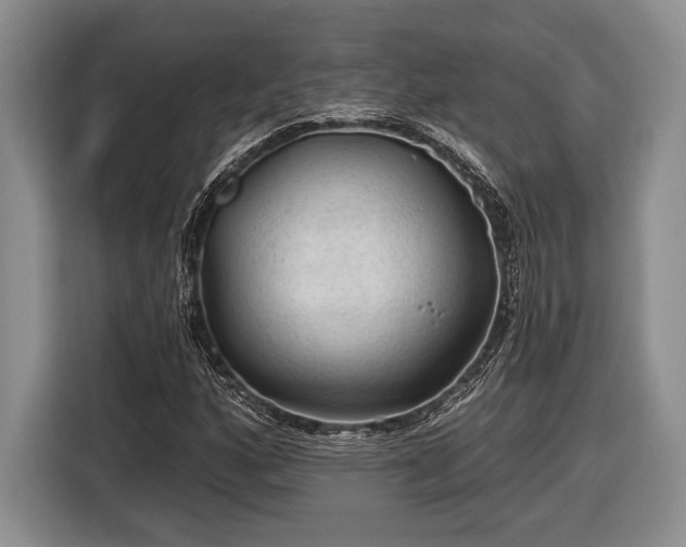 X0000116611160200912181200