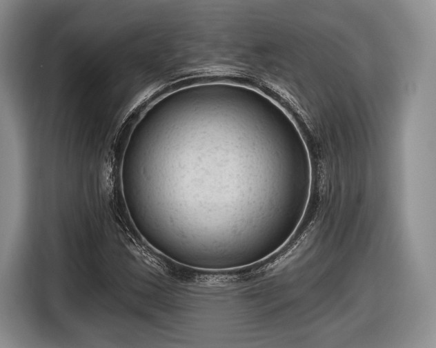 X0000116611163200912181200