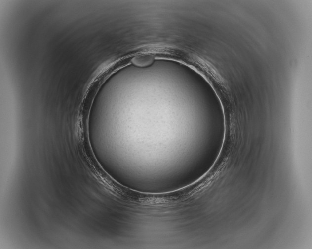 X0000116611164200912181200