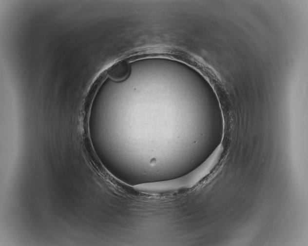 X0000116611166200912181200