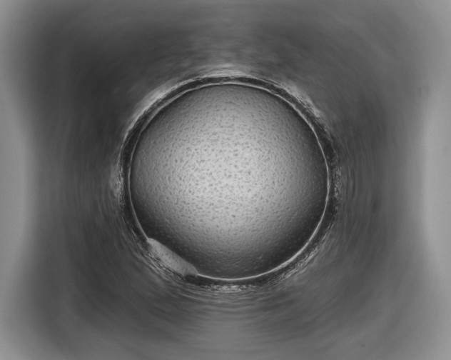 X0000116611167200912181200