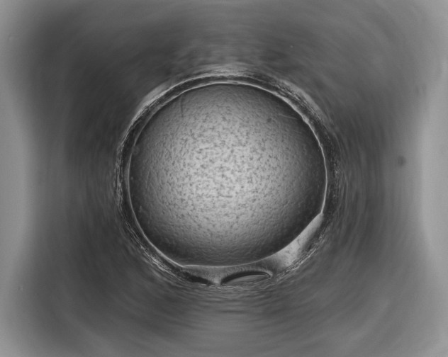 X0000116611168200912181200