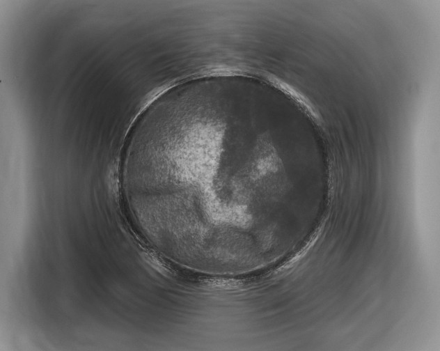 X0000116611170200912181200