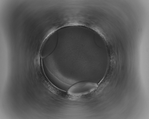 X0000116611173200912181200