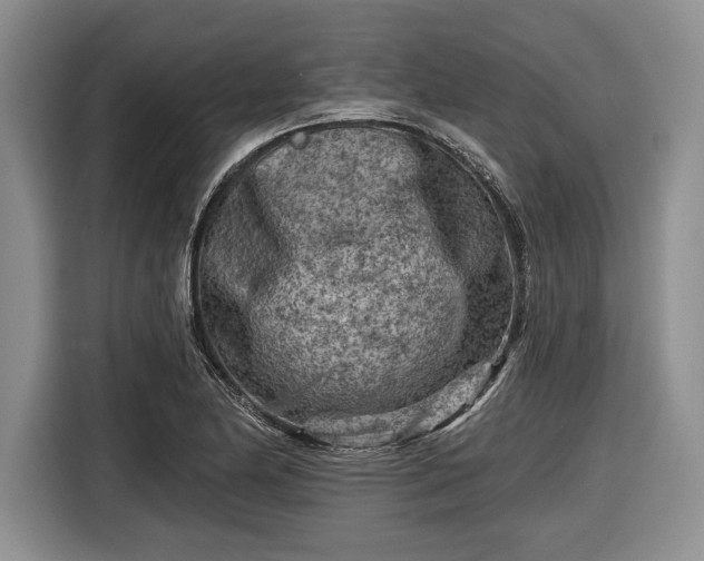 X0000116611174200912181200