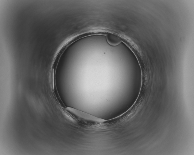 X0000116611175200912181200