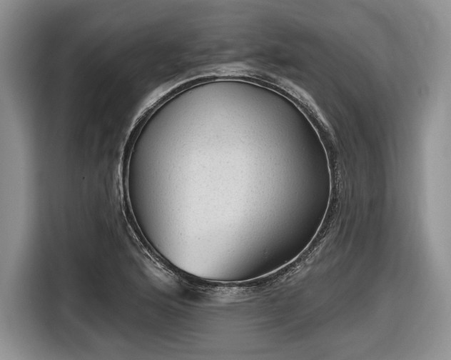 X0000116611176200912181200