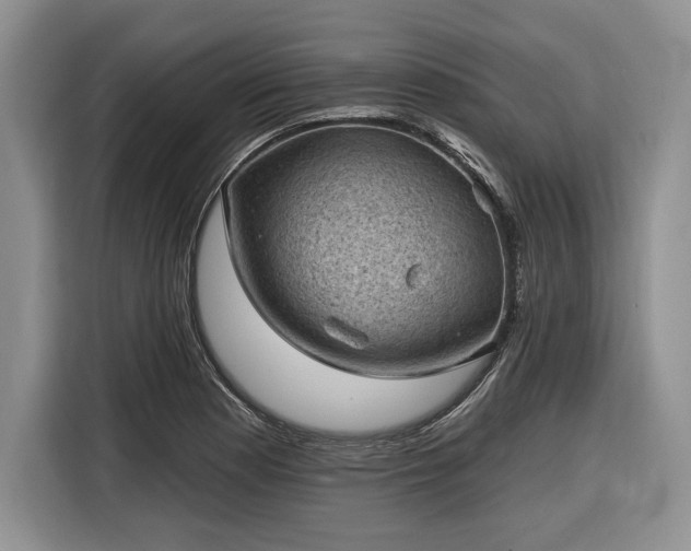 X0000116611177200912181200