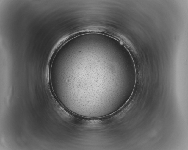 X0000116611180200912181200