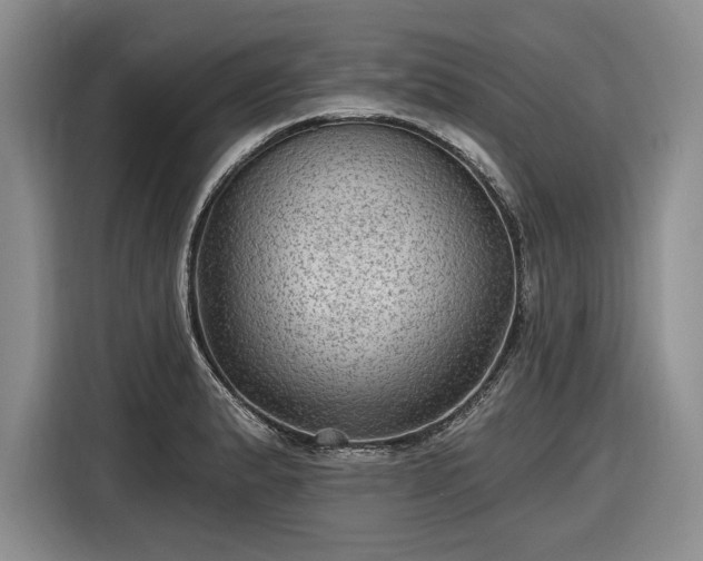 X0000116611183200912181200