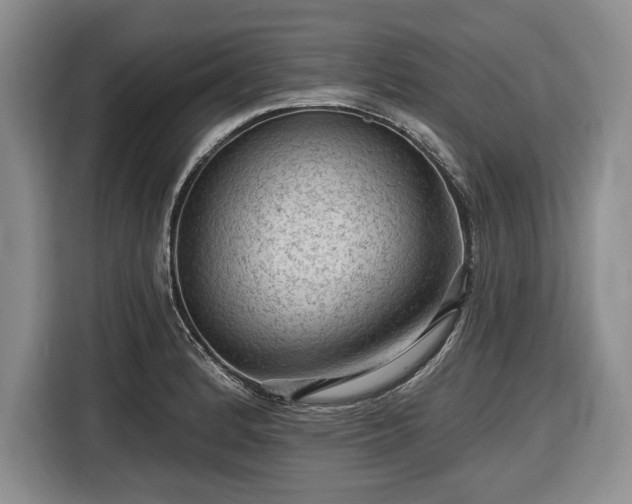 X0000116611184200912181200