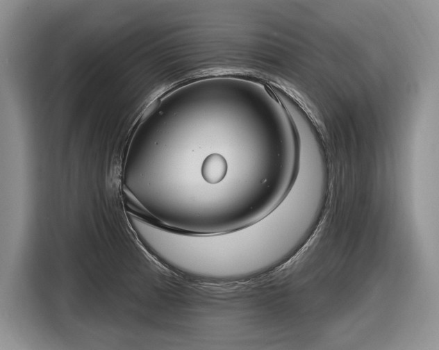 X0000116611185200912181200