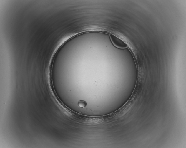 X0000116611187200912181200