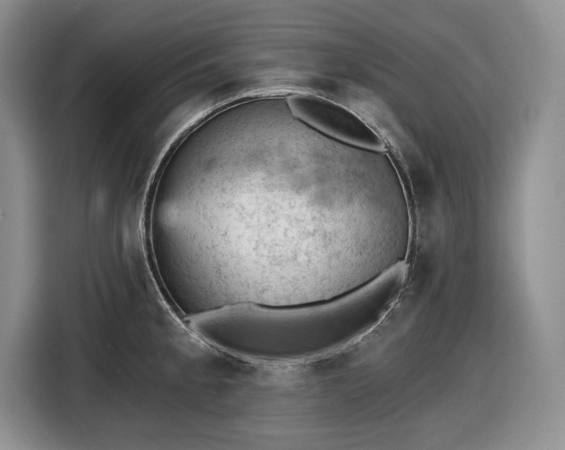 X0000116611189200912181200