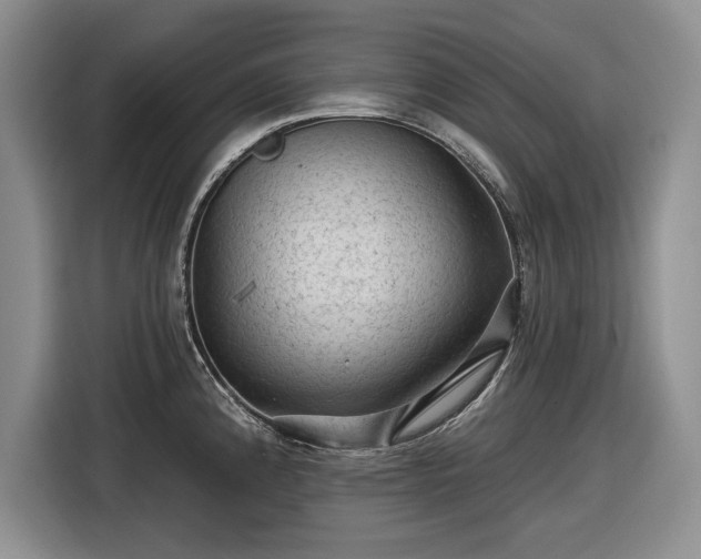 X0000116611192200912181200