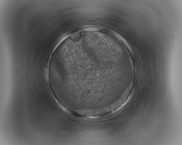 X0000116611194200912181200
