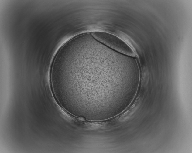 X0000116611197200912181200