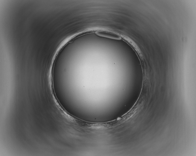 X0000116611199200912181200