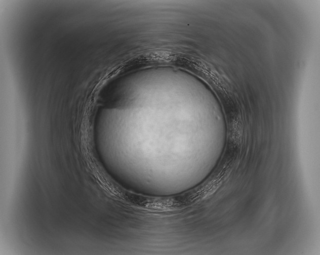 X0000116611201200912181159