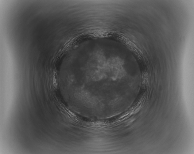 X0000116611202200912181159