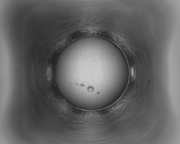 X0000116611203200912181159