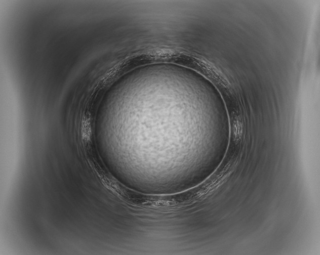 X0000116611204200912181159