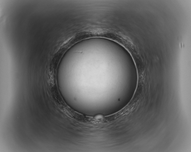 X0000116611205200912181159
