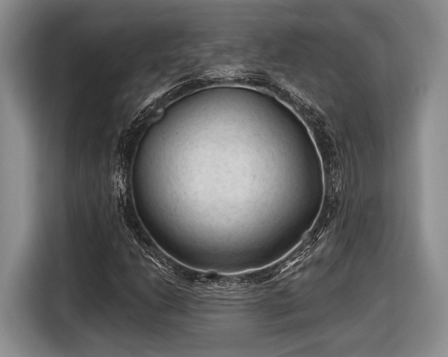 X0000116611206200912181159