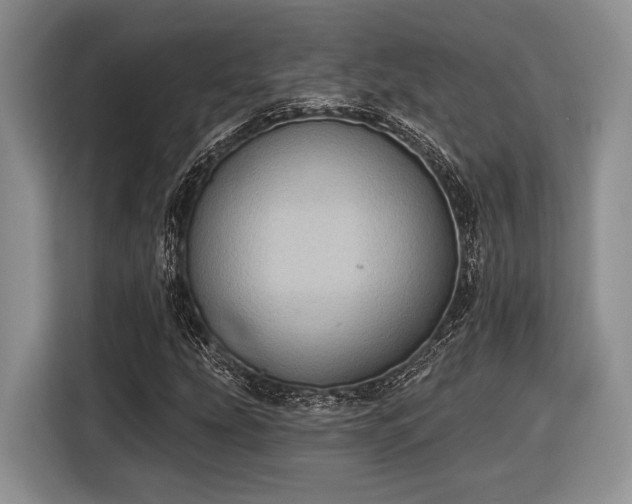 X0000116611207200912181159