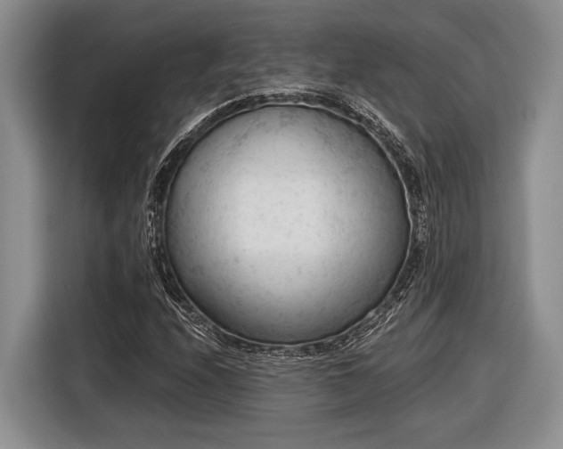 X0000116611208200912181159