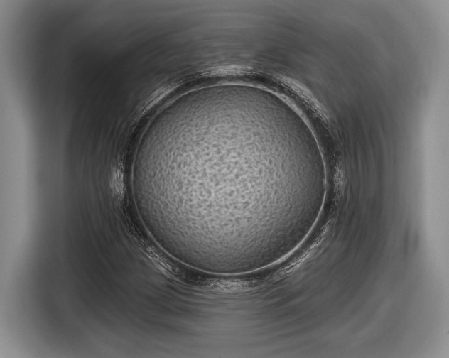 X0000116611209200912181159