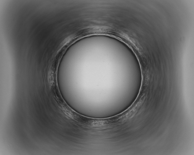 X0000116611211200912181159