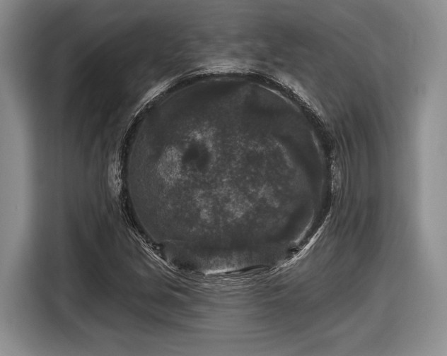X0000116611213200912181159