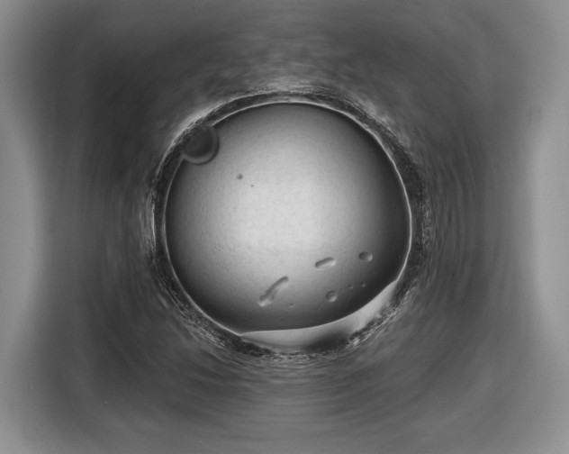 X0000116611214200912181159