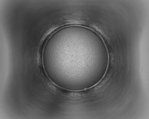 X0000116611215200912181159
