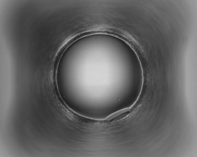 X0000116611216200912181159