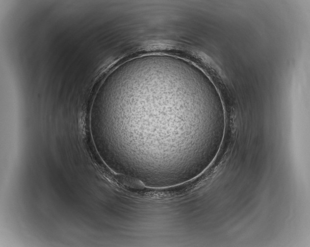 X0000116611217200912181159