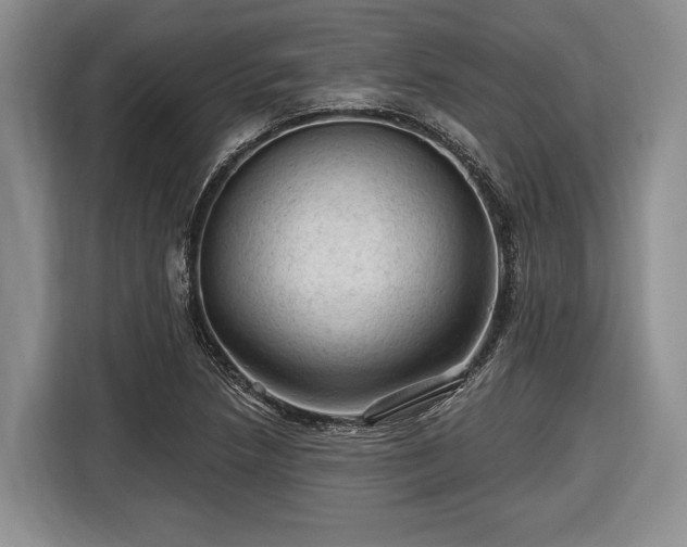 X0000116611218200912181159