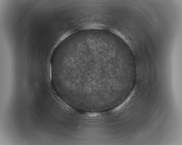 X0000116611219200912181159