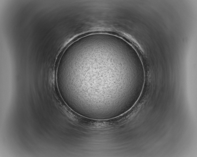 X0000116611220200912181159